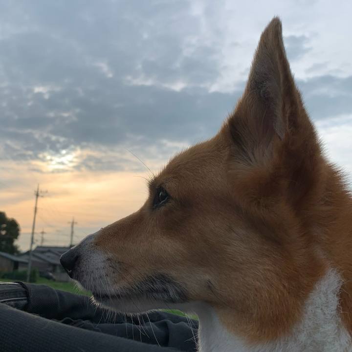 B7773649 1b8f 40ad be21 f0a09803d14f 1629932937911