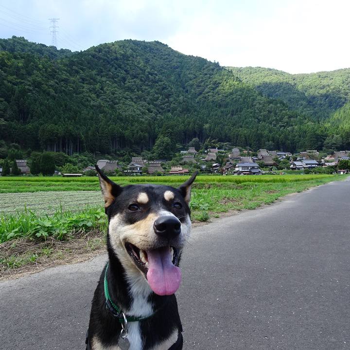 B7773b95 3aab 4f1c a6fc dcfff5c240d0 1534250706781