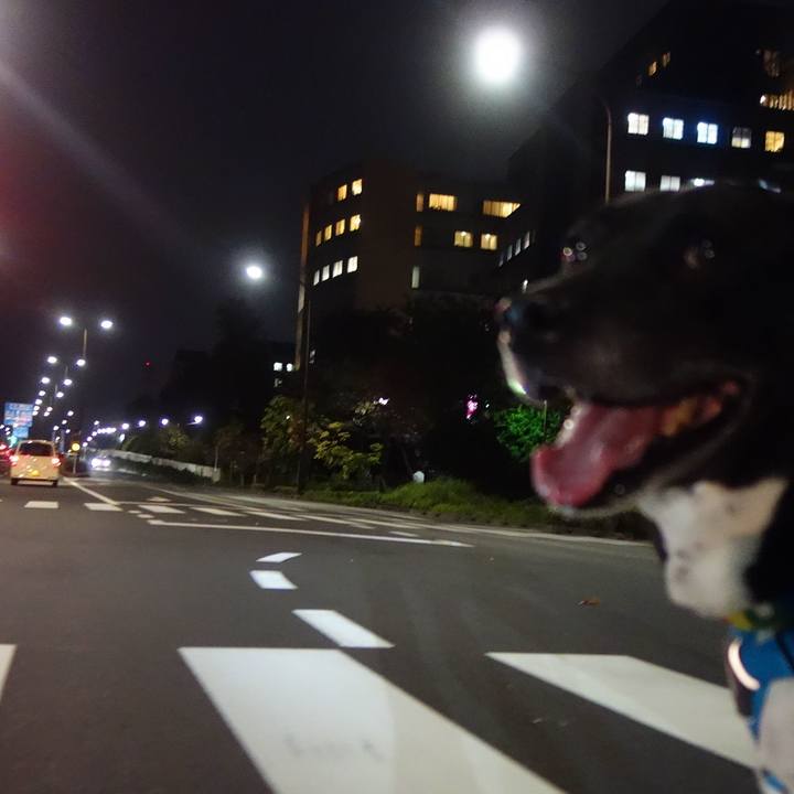 B7774d26 60ce 4238 a4f4 cc19382f427b 1666088442737