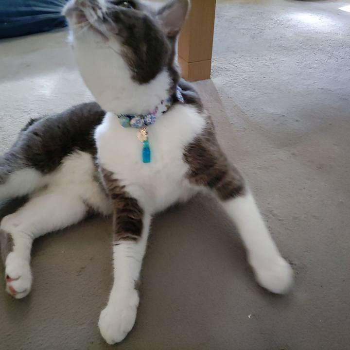 B7774eb3 4233 43fc a508 4fc5e67c7a82 1722292068236