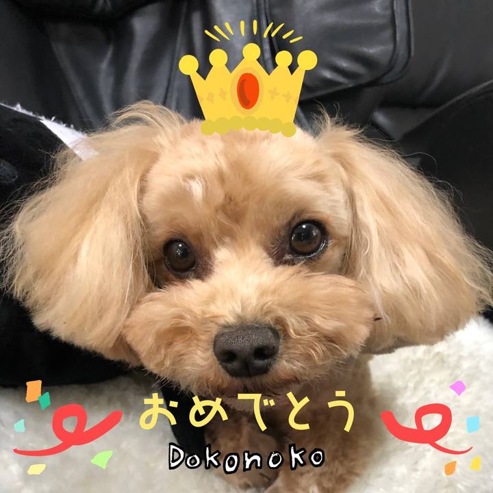 B77750c8 d708 4631 8d30 064b41baba1c 1685962697842