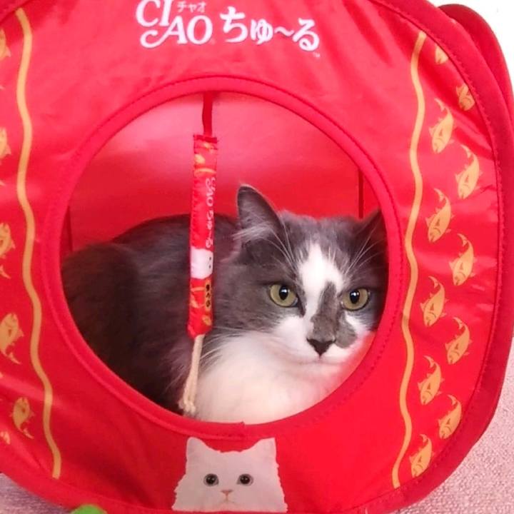 B777766d c79c 4923 98b6 1cd52fe8b306 1677137802128