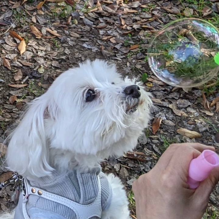 B777875a b8e7 48bd b78f a1f3d36f4996 1607653591300