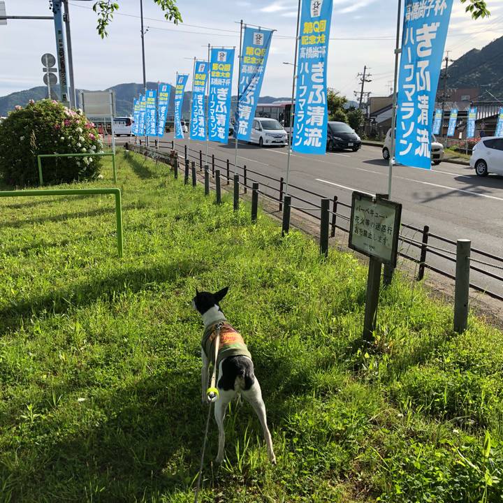 B777a660 06ba 4f4d b3e0 18ce90d45b8d 1556408721087