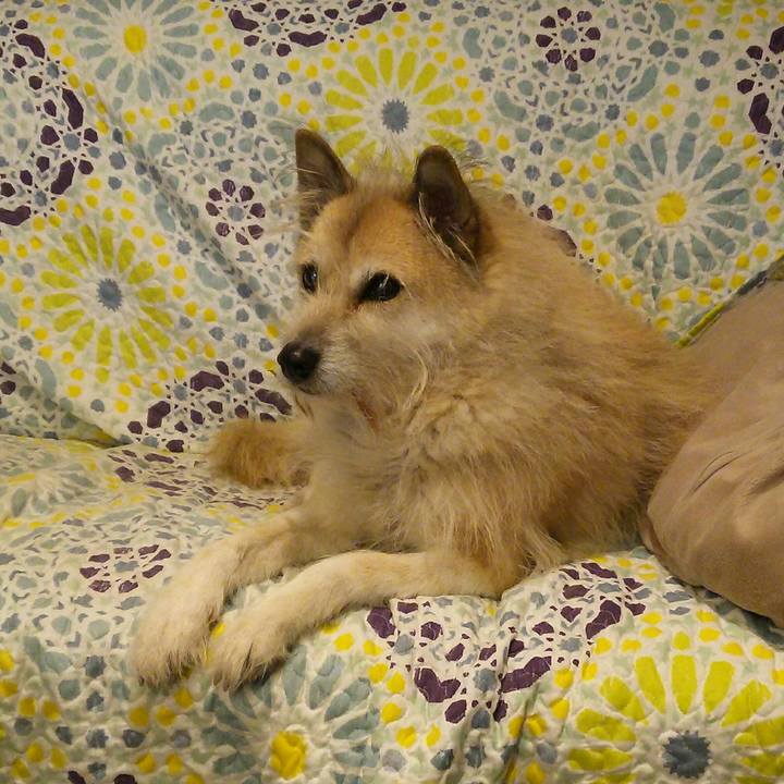 B777aef4 71ff 48a6 ad23 a86dfba7a9df 1516434781628