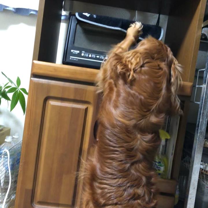 B777c589 c5b7 4e58 8fc6 d485af9e2340 1648161148747