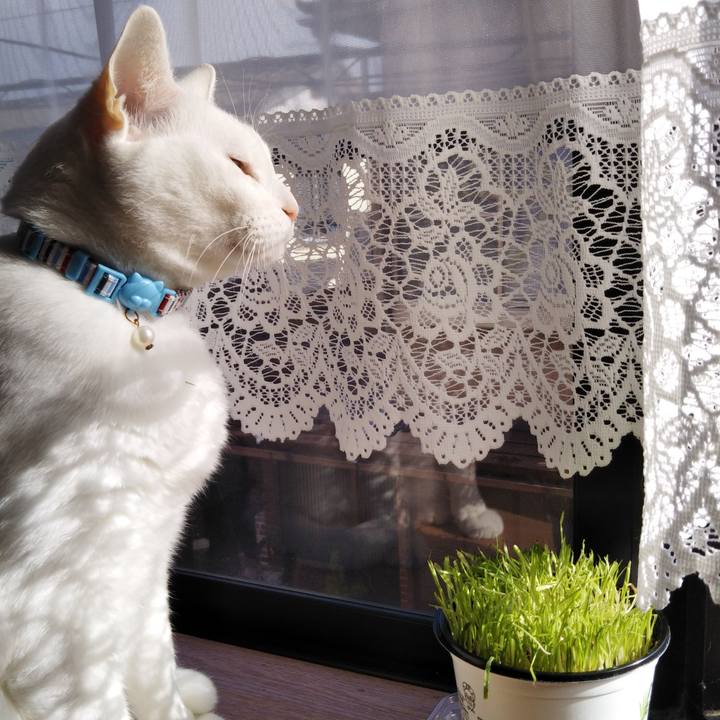 B777c648 fd4d 42f2 8b01 2b04cde950a0 1608082994316