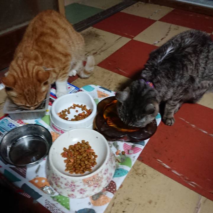 B777cbd8 4fb3 4766 8ef4 b38fe530a577 1594842884107