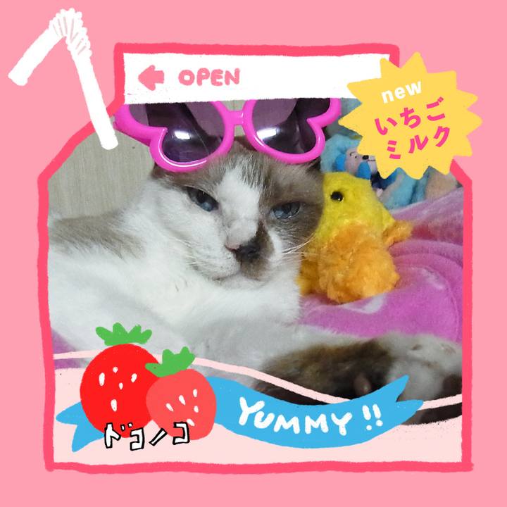 B777dce0 34d4 485b bba6 217aa6569d8a 1711422561899