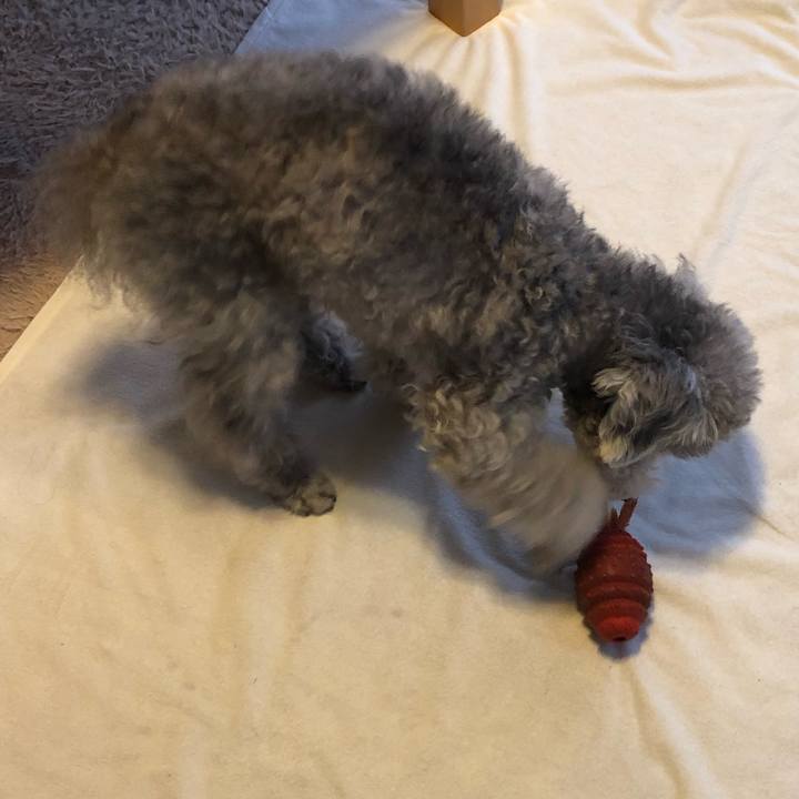 B777f3dc bba2 4a48 9359 13312522a517 1556232540134