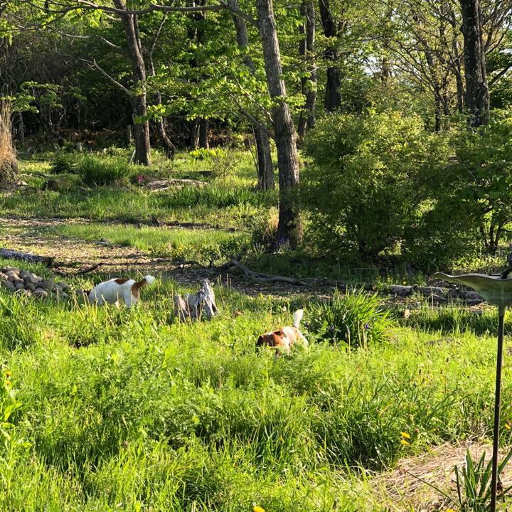 B777fa09 7506 4c26 a75f d376129fb8bc 1525484575838