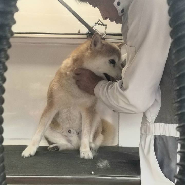 B777fdf2 befb 4d4a 9764 8315c2174d1a 1721088957832