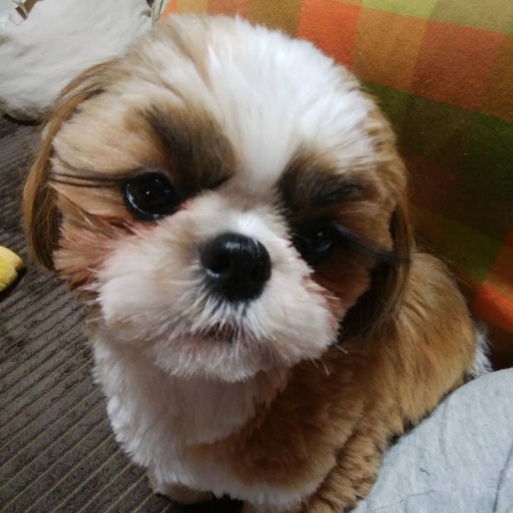 B7781922 3b9d 43bd 906b 3eac7ad3dcaf 1551960224911