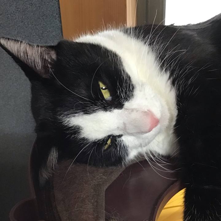 B778321c aa97 4f7c 8783 2416e16a4c49 1755848155737