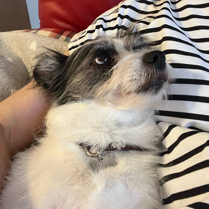 B7783a4e cc54 4766 9a17 eb8d8c9bb8e6 1757747770702