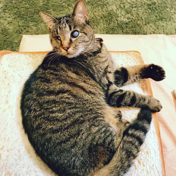 B7783c18 9235 4d13 b54d fea638409ddf 1521008235766