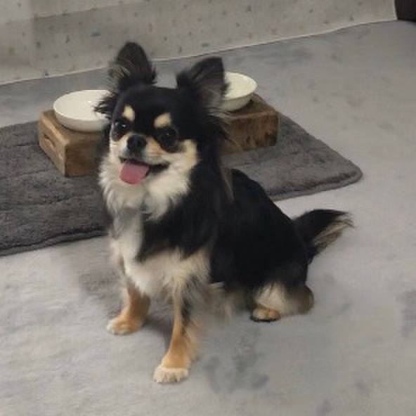 B77840da 7b39 448e acda 2796df734bc6 1587195543859