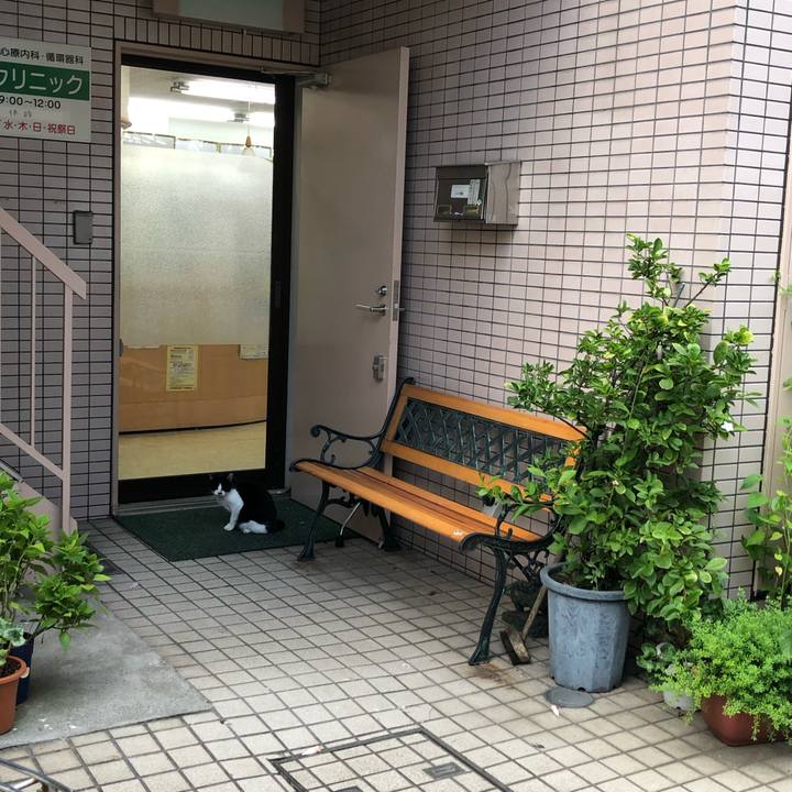 B778641b f390 4056 a844 ca72742c0cfd 1568466529307