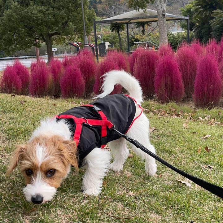 B7788138 bc6b 406a 8eea 2c62629ffa63 1763899495117