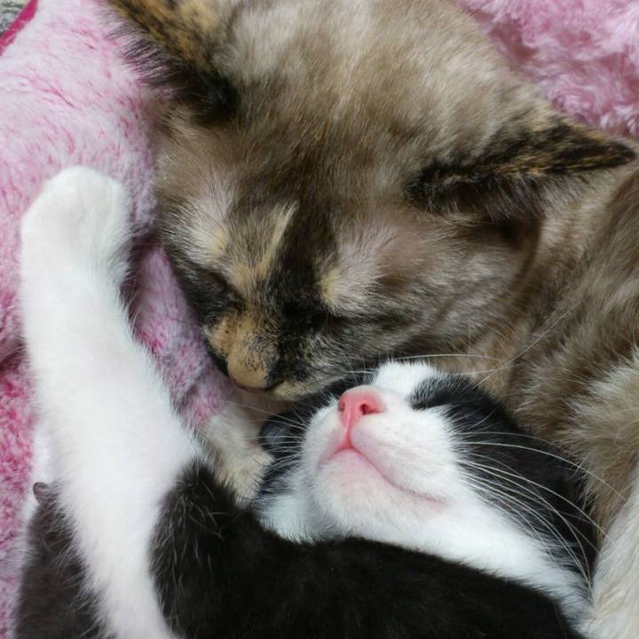 B77898e0 4b6d 4180 b0bb 81baa6ad3569 1563667496749