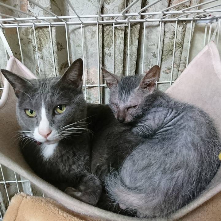 B778a419 80cc 47a3 ae09 6bce9522d7cf 1515631217352