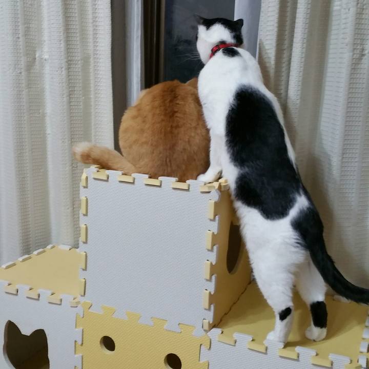 B778bdea 5889 43a1 aa0d 2df119dc8faa 1518432817075