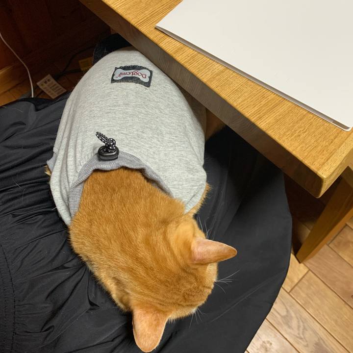 B778f1c4 2b59 4f58 8d27 d5782d6a1ff1 1640853741160