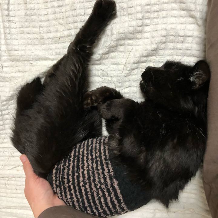 B778fa35 14f8 46c0 8b7d 25e618670478 1637748378137