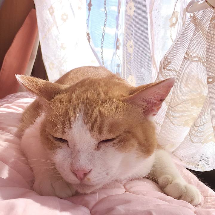 B7791428 c8cf 425e 9dc4 547a56d7b967 1601972029276