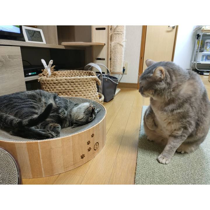 B77916b4 6659 4b55 aa84 9071c923c4f4 1739860261669