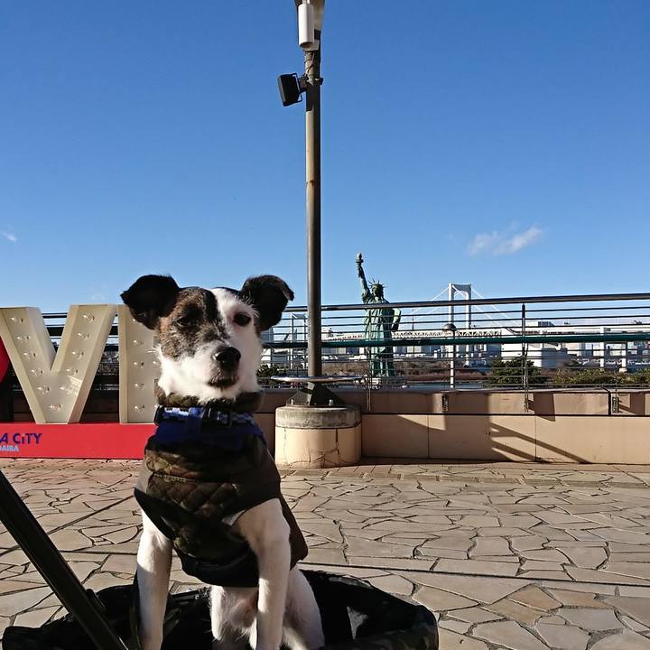 B77960a4 50c0 4edc 9750 8c339d408292 1514373410354