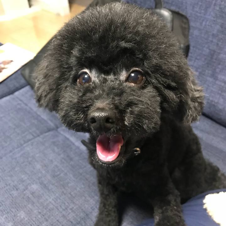 B77971a0 0fb0 430f bb59 3c4da91ce644 1537606564286