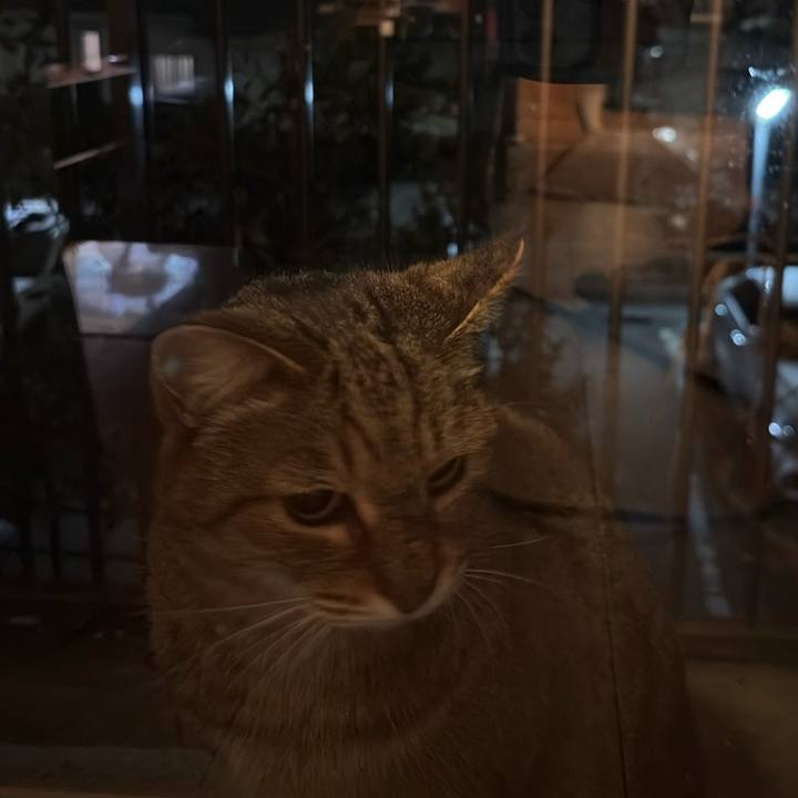 B7797771 dc91 42ce 9b8b f495e349cdbd 1769427735775