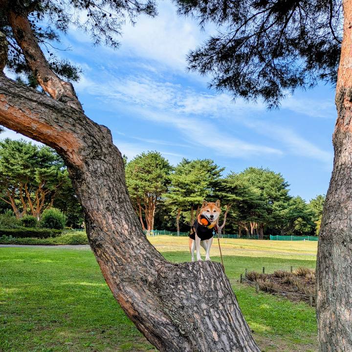 B7797ce9 5a29 42f1 9bc2 6986fff51a1b 1761737065795