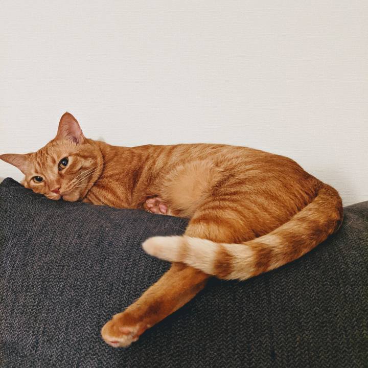 B779960a 1301 4927 9c52 fe6e3b145924 1626091913932