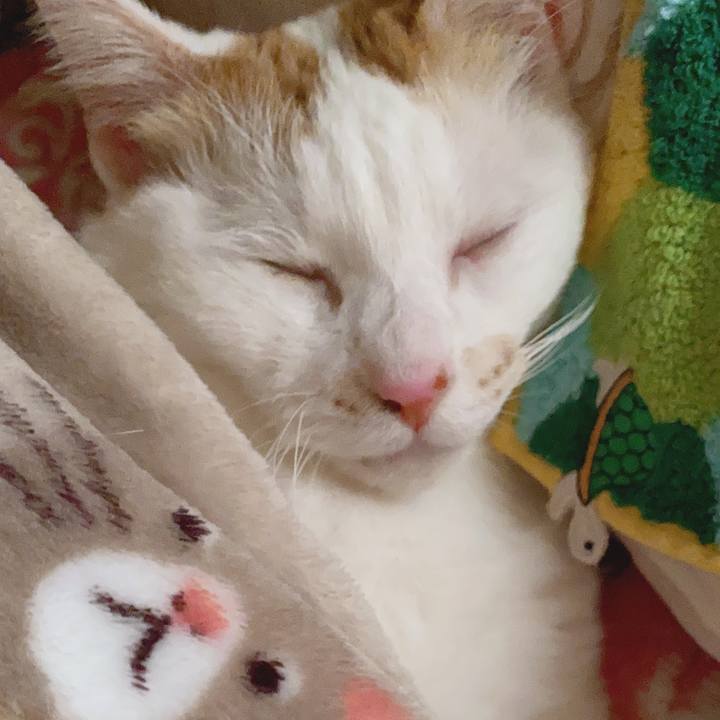 B77a8a05 f613 4a5c 8336 a5ed40e13740 1587779208538