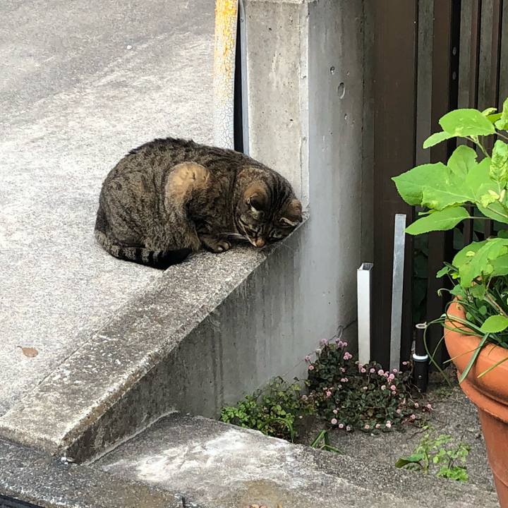 B77ab386 b986 49d2 91c1 b24dd8104b4b 1523672606184