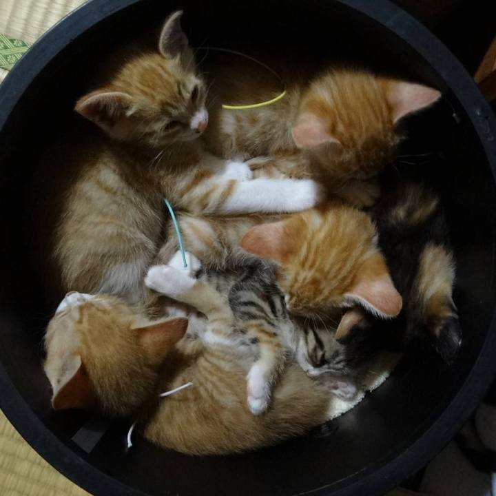 B77ab462 a6d3 4bdd b98f d17251393670 1557049878689