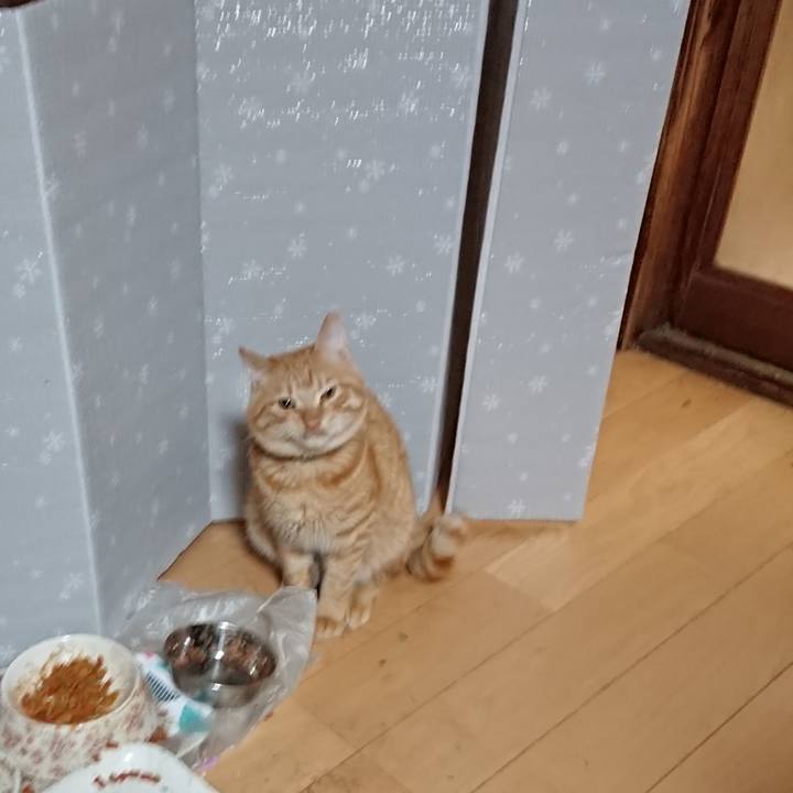 B77ac129 06af 42db 9d71 a8c33282ac79 1639949536552