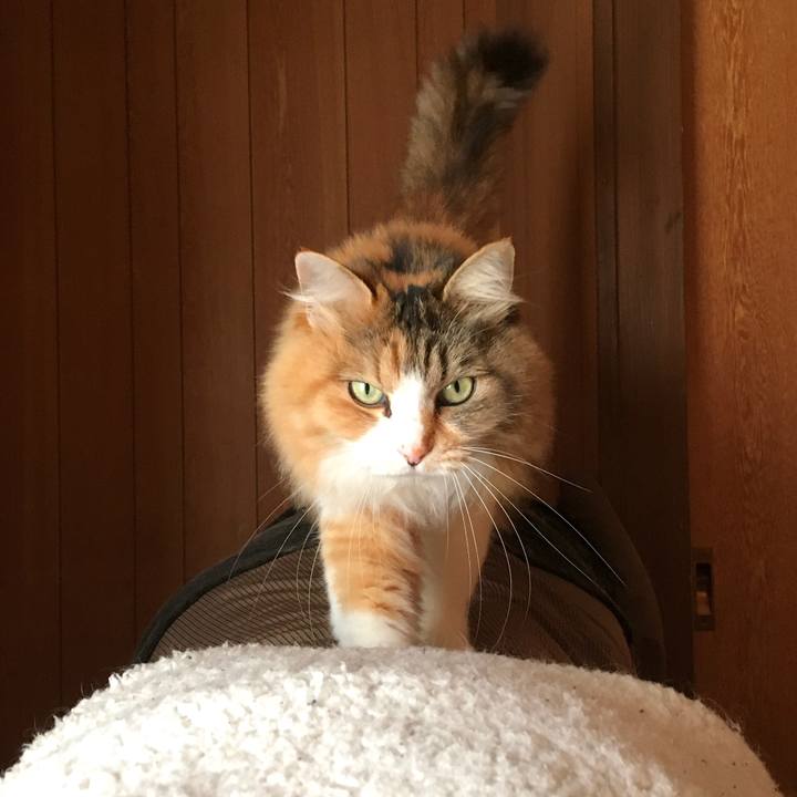 B77ad9de 731b 4ec2 bb5d 5f92879d6cc2 1613459609787