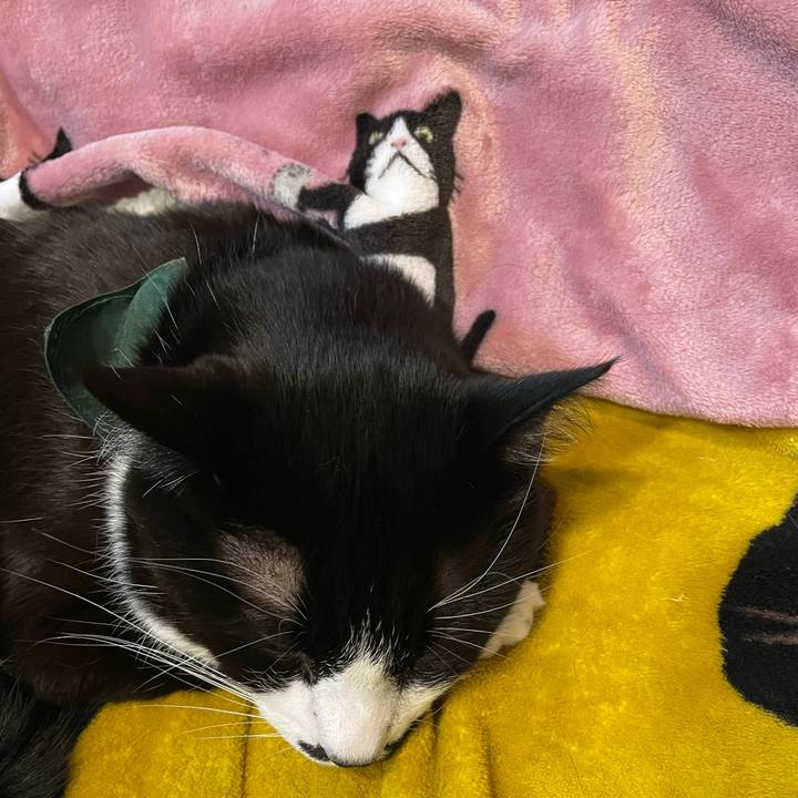 B77ae35f 5b74 4062 992d bbda1042d237 1736163144908