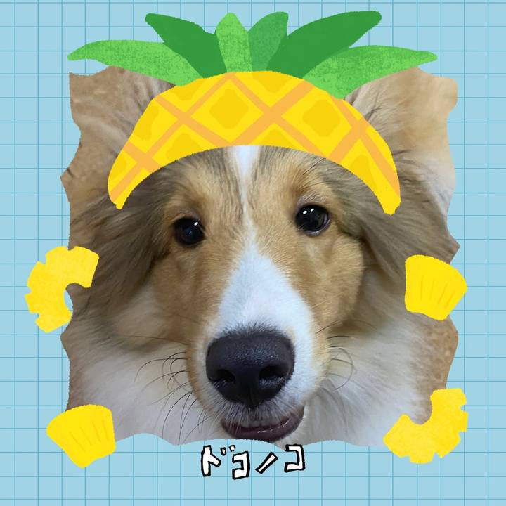 B77b4783 90ae 49c1 8889 c2ac48fa03c7 1783323979012