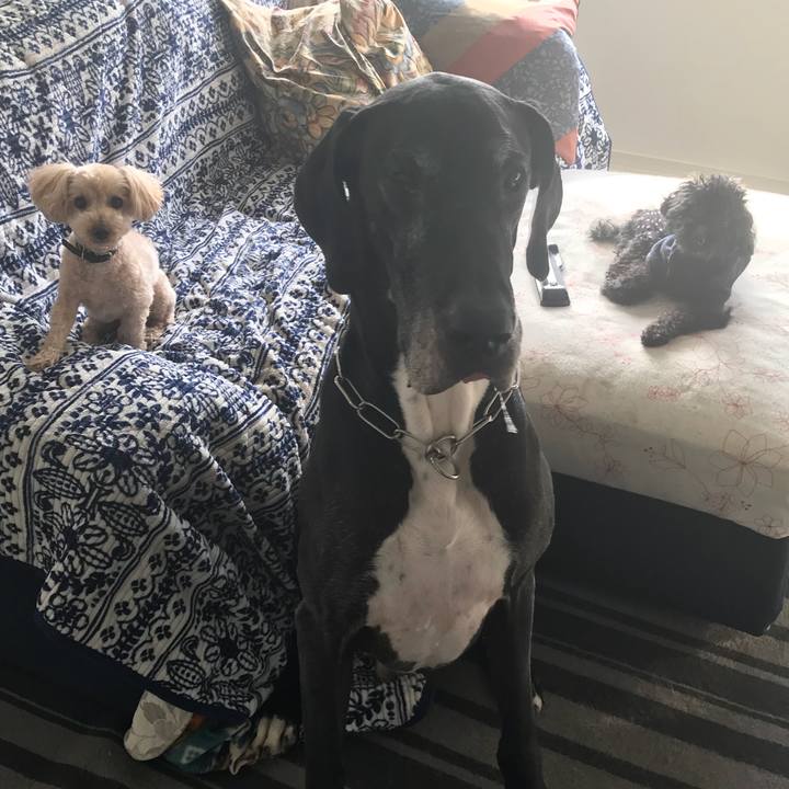 B77b6abf d8de 417e 8f42 1c55d8d7f625 1522709280704