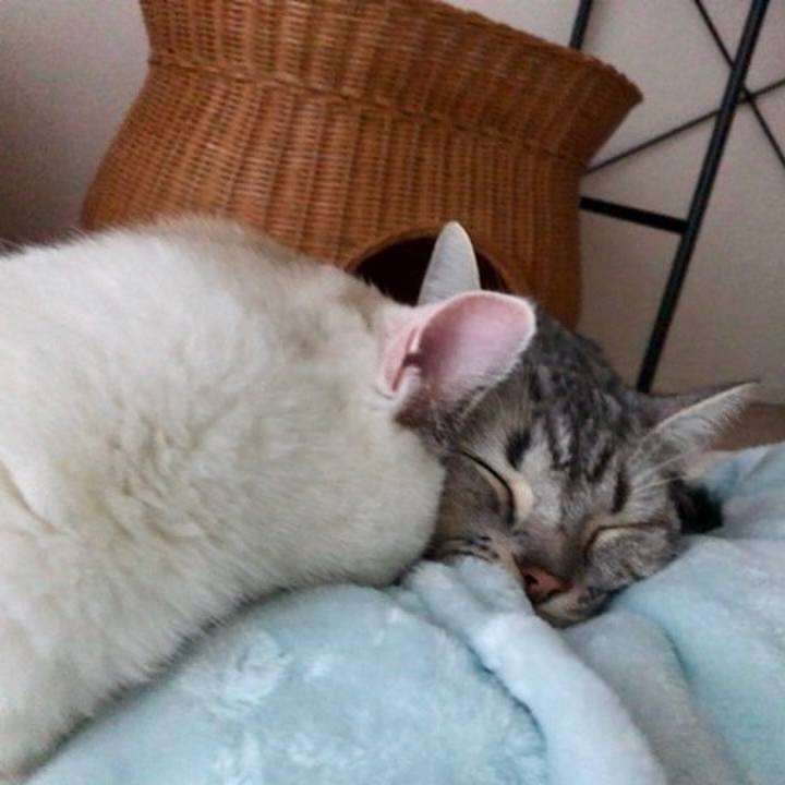 B77b84a9 bf94 46d2 8e79 02ea2aa158b2 1508193061798