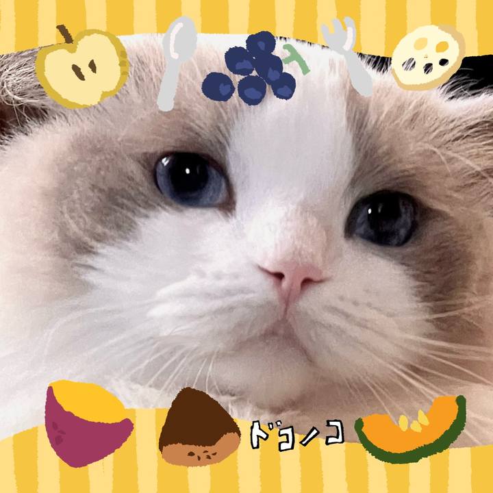 B77ba341 1142 4129 8460 475f6294ab8e 1726991933105