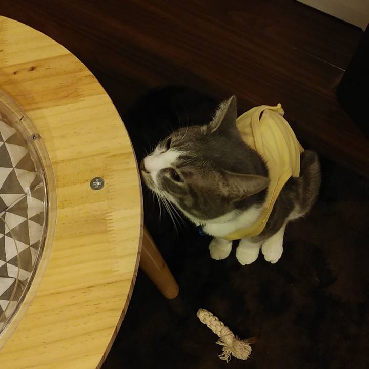 B77bae60 900f 4592 89c0 b9e28d0f85cf 1585059771799