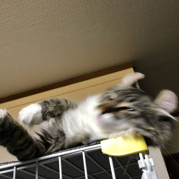 B77be364 1596 4987 8756 9255b0171280 1525873341159