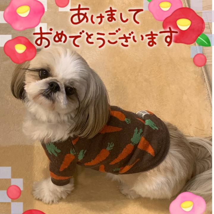 B77bf0e2 fdc5 46cf adb1 6ce9d8a29ae9 1704189555291