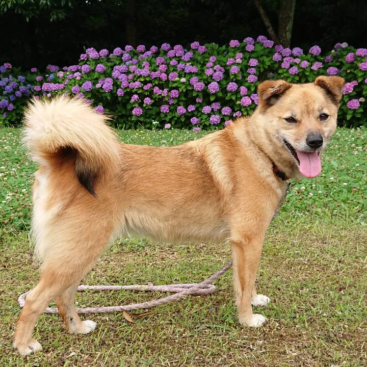 B77bfa1d 076d 4f56 9cbc 0d0add098fc6 1594038199824