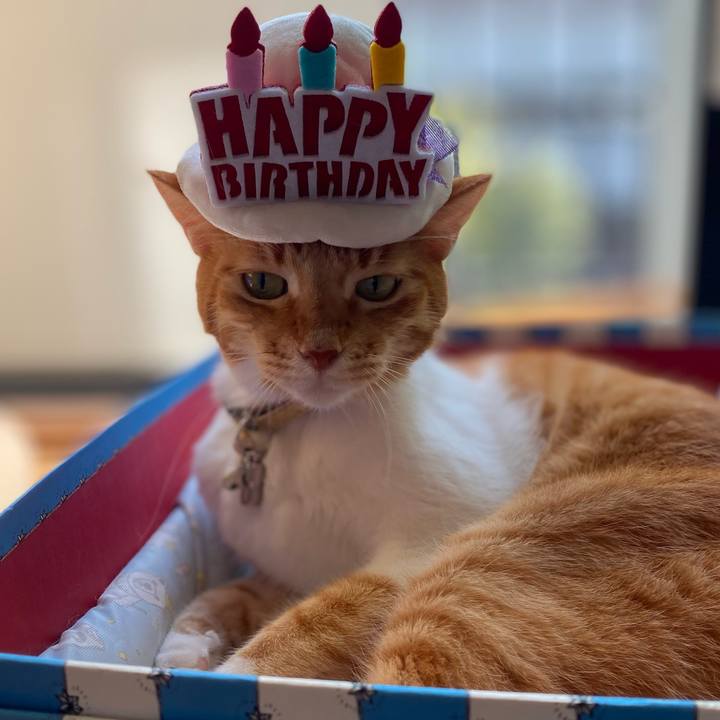 B77c078a e67e 4f7c a8e6 bfe0ad6dff1b 1757473868032